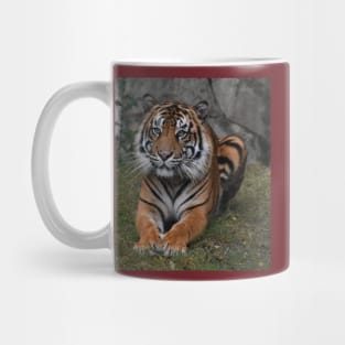 Sumatran Tiger Mug